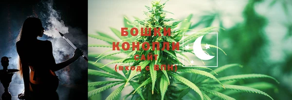 ГАЛЛЮЦИНОГЕННЫЕ ГРИБЫ Алзамай