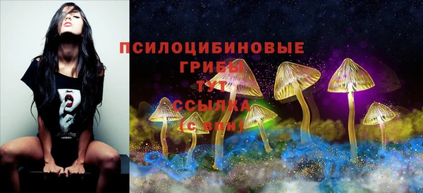 ГАЛЛЮЦИНОГЕННЫЕ ГРИБЫ Алзамай
