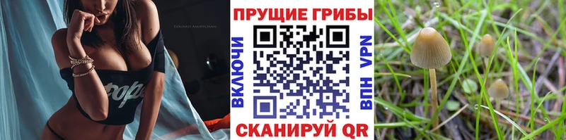Псилоцибиновые грибы ЛСД  как найти наркотики  OMG онион  Хотьково 